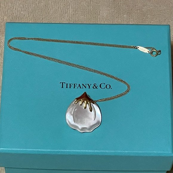 Rare TIFFANY & CO. x Angela Cummings MOP 18k Pendant/Brooch - Picture 1 of 15